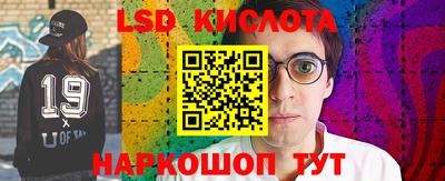apvp Краснодар
