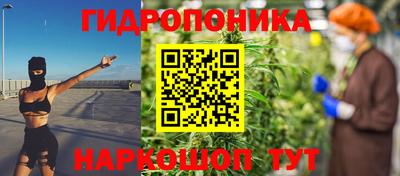 apvp Краснодар