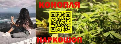 apvp Краснодар