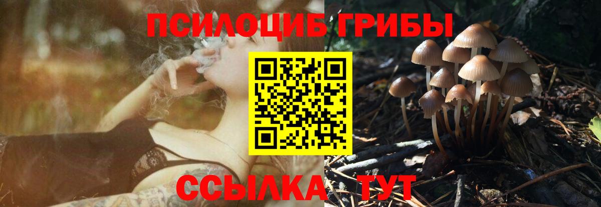 Галлюциногенные грибы Psilocybine cubensis  Вход с VPN  Краснотурьинск 